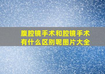 腹腔镜手术和腔镜手术有什么区别呢图片大全