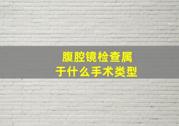 腹腔镜检查属于什么手术类型