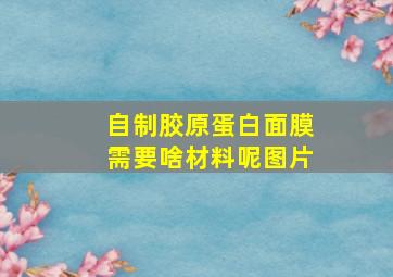 自制胶原蛋白面膜需要啥材料呢图片