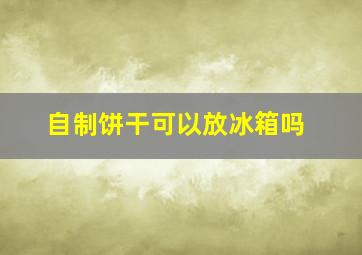 自制饼干可以放冰箱吗