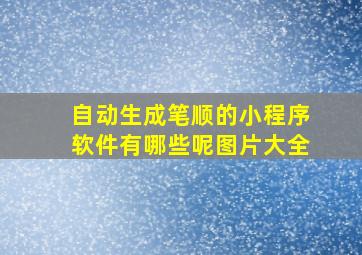 自动生成笔顺的小程序软件有哪些呢图片大全