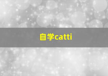 自学catti