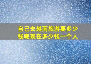 自己去越南旅游要多少钱呢现在多少钱一个人