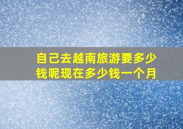 自己去越南旅游要多少钱呢现在多少钱一个月