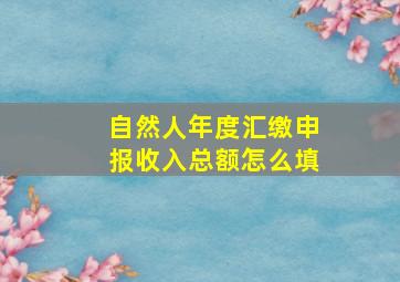 自然人年度汇缴申报收入总额怎么填