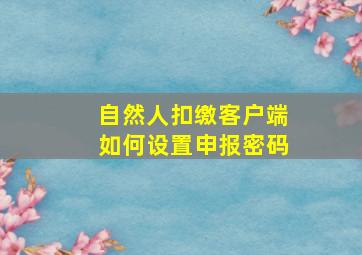 自然人扣缴客户端如何设置申报密码