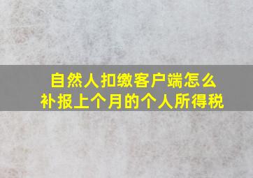 自然人扣缴客户端怎么补报上个月的个人所得税