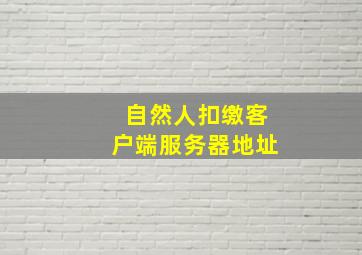 自然人扣缴客户端服务器地址