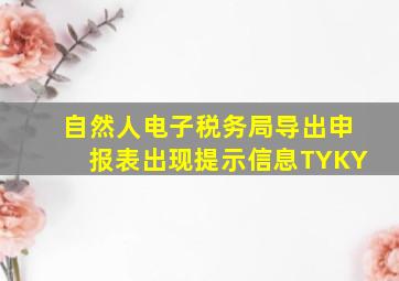 自然人电子税务局导出申报表出现提示信息TYKY