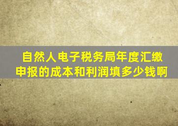 自然人电子税务局年度汇缴申报的成本和利润填多少钱啊