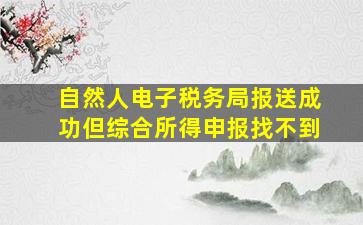 自然人电子税务局报送成功但综合所得申报找不到