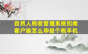 自然人税收管理系统扣缴客户端怎么申报个税手机