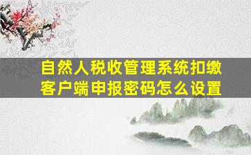 自然人税收管理系统扣缴客户端申报密码怎么设置