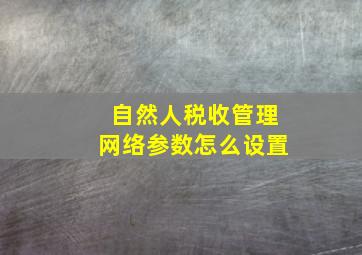 自然人税收管理网络参数怎么设置