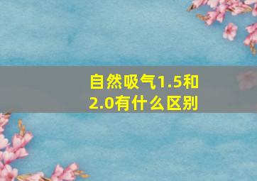 自然吸气1.5和2.0有什么区别