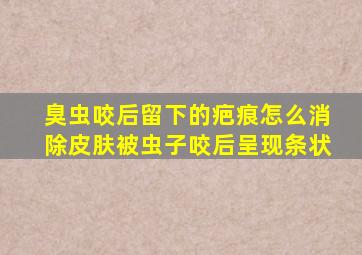 臭虫咬后留下的疤痕怎么消除皮肤被虫子咬后呈现条状