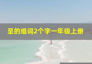 至的组词2个字一年级上册