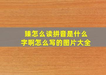 臻怎么读拼音是什么字啊怎么写的图片大全