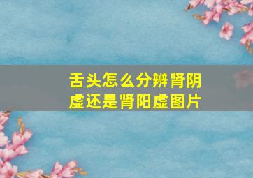 舌头怎么分辨肾阴虚还是肾阳虚图片