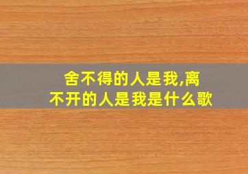 舍不得的人是我,离不开的人是我是什么歌