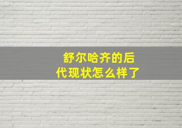 舒尔哈齐的后代现状怎么样了