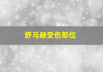 舒马赫受伤部位