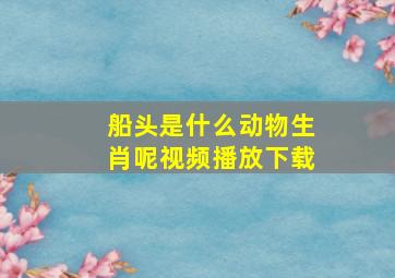 船头是什么动物生肖呢视频播放下载