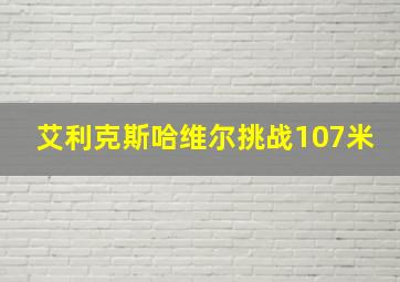 艾利克斯哈维尔挑战107米