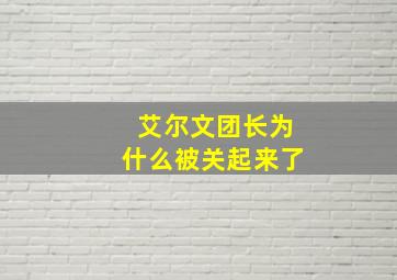 艾尔文团长为什么被关起来了