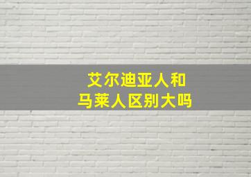 艾尔迪亚人和马莱人区别大吗