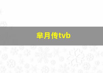 芈月传tvb