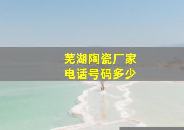 芜湖陶瓷厂家电话号码多少