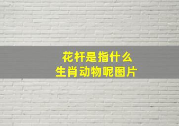 花杆是指什么生肖动物呢图片