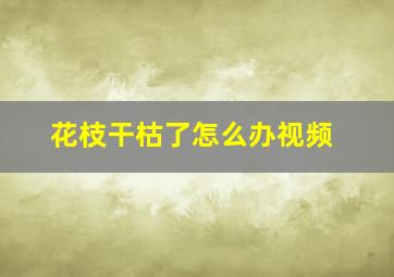 花枝干枯了怎么办视频