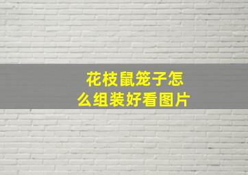 花枝鼠笼子怎么组装好看图片