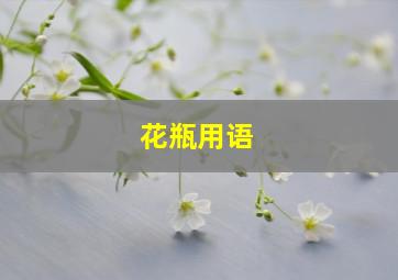 花瓶用语