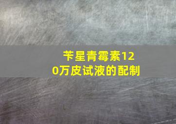 苄星青霉素120万皮试液的配制