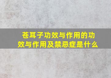 苍耳子功效与作用的功效与作用及禁忌症是什么