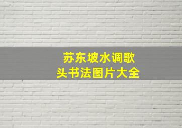 苏东坡水调歌头书法图片大全