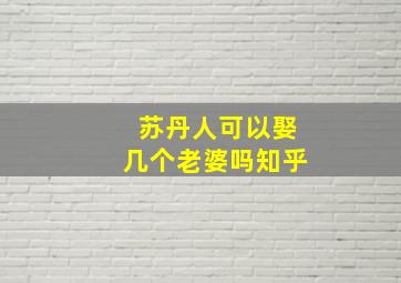 苏丹人可以娶几个老婆吗知乎