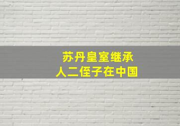 苏丹皇室继承人二侄子在中国