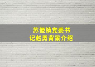 苏堡镇党委书记赵勇背景介绍