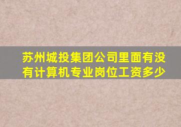 苏州城投集团公司里面有没有计算机专业岗位工资多少