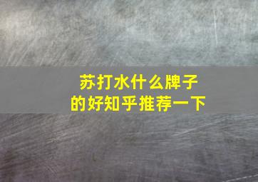 苏打水什么牌子的好知乎推荐一下