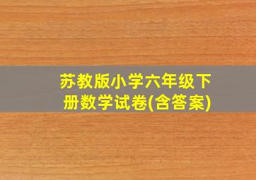 苏教版小学六年级下册数学试卷(含答案)