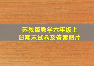 苏教版数学六年级上册期末试卷及答案图片