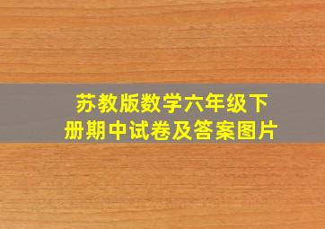 苏教版数学六年级下册期中试卷及答案图片