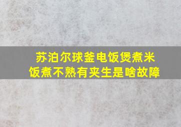 苏泊尔球釜电饭煲煮米饭煮不熟有夹生是啥故障