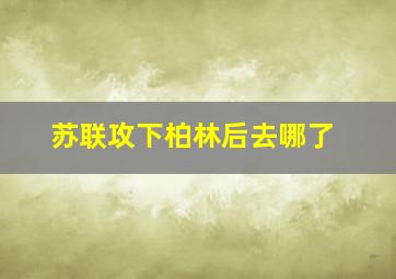 苏联攻下柏林后去哪了