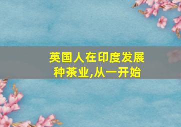 英国人在印度发展种茶业,从一开始